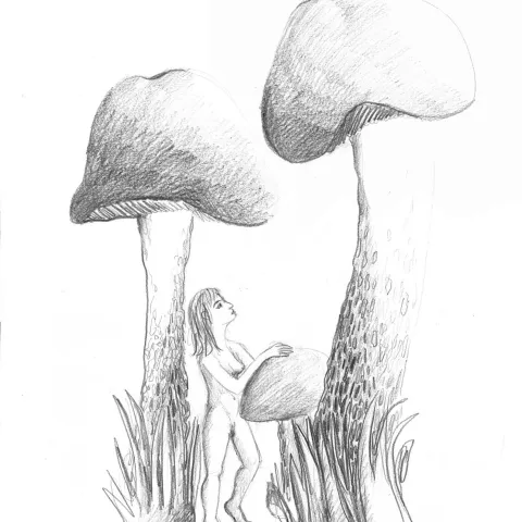 Pilze