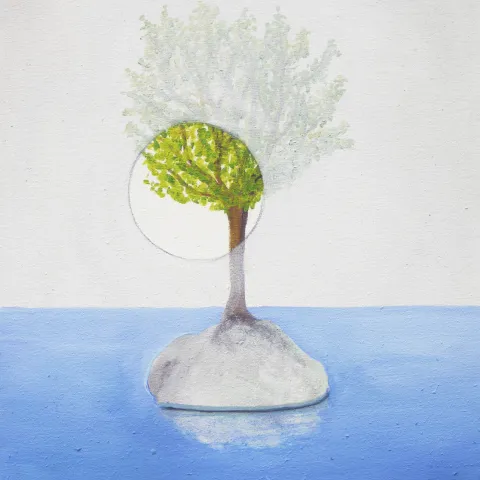 Insel