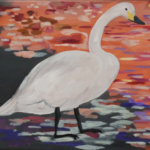 Schwan