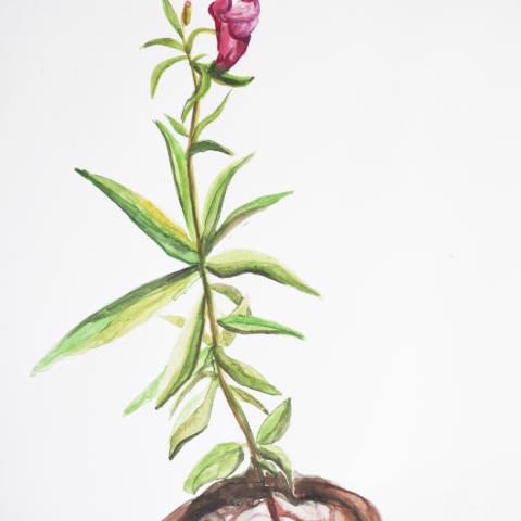 Unterwelt / Podsemjle