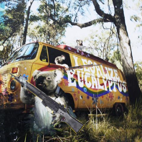 Killer-Koalas - Collage