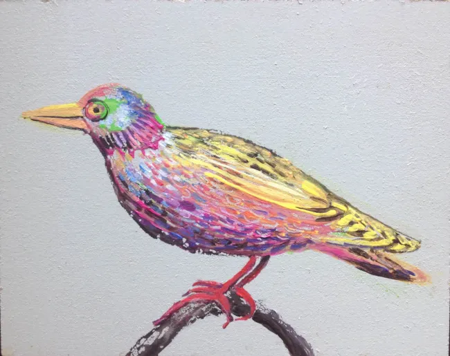 Regenbogenvogel