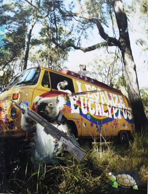 Killer-Koalas - Collage
