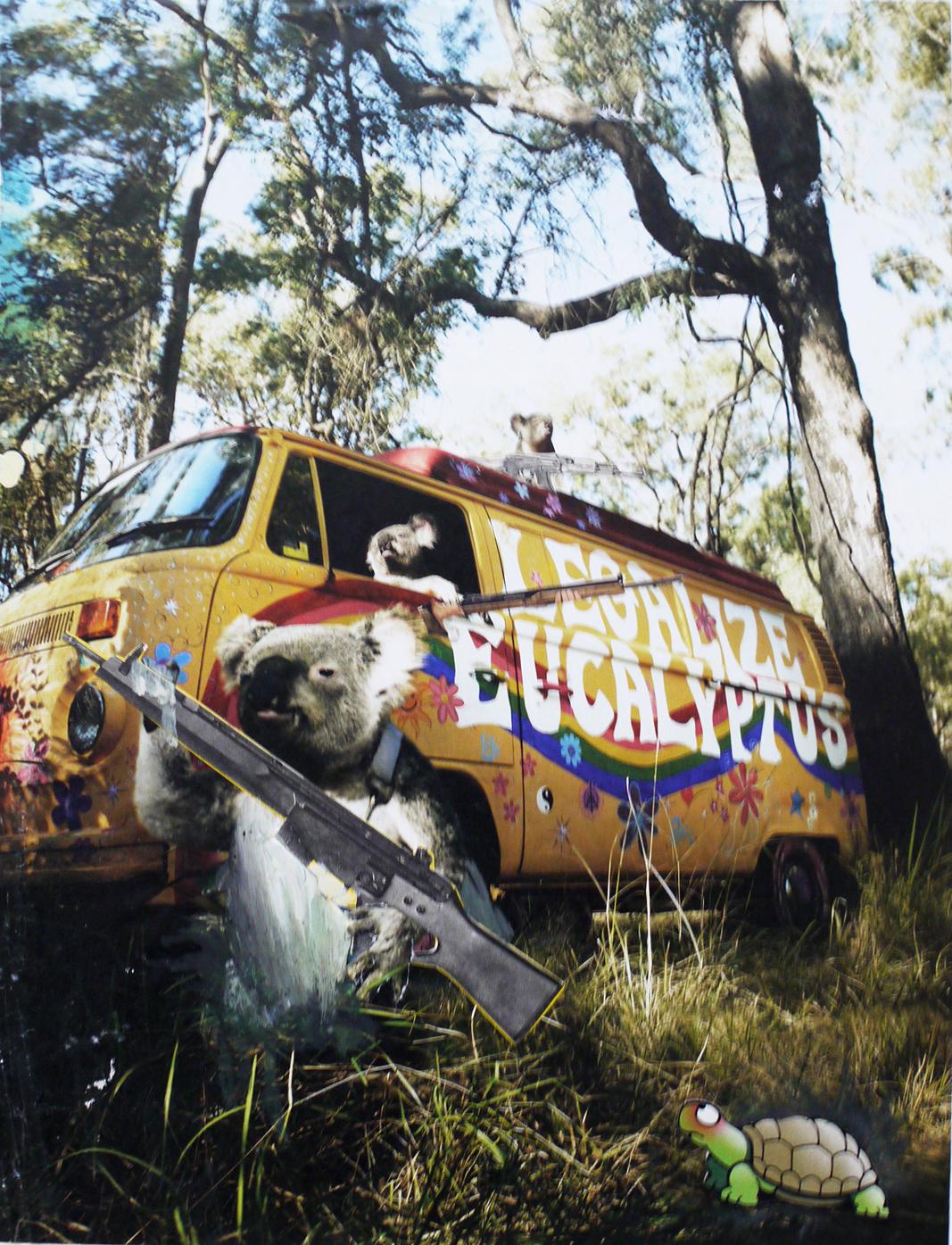 Killer-Koalas - Collage